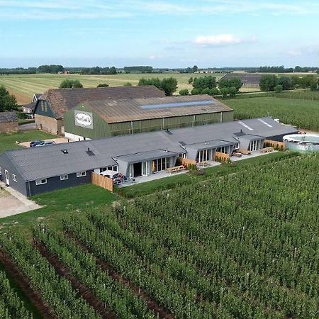 Hoeve Oude Tol Zuidzande Εξωτερικό φωτογραφία