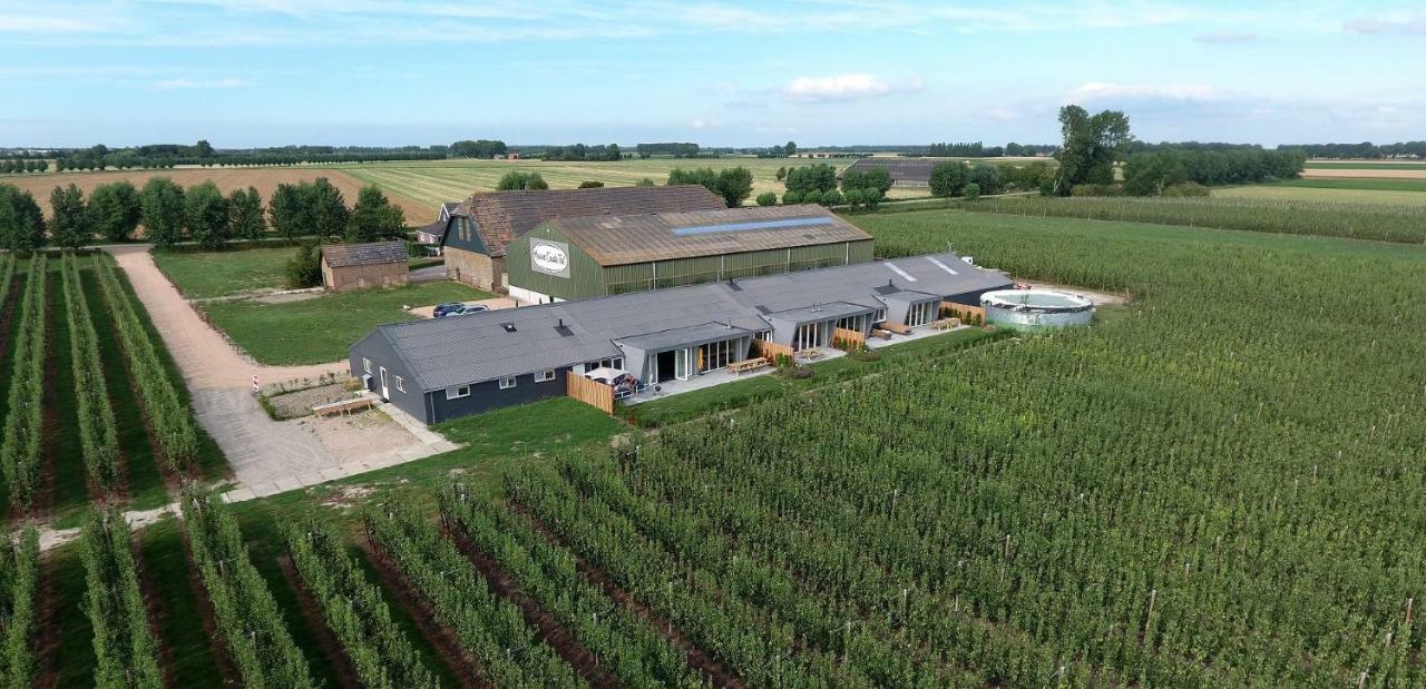 Hoeve Oude Tol Zuidzande Εξωτερικό φωτογραφία